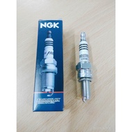 NGK (4218) CR8EIX Iridium IX Spark Plug