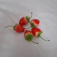 Buah buahan sayuran Hias Apel merah apel hijau fuji jeruk pisang mangga jeruk medan anggur pear pers