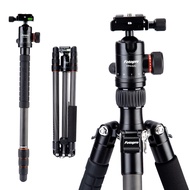 Fotopro 62" Carbon Fiber Tripod for Camera, Lightweight Travel Tripod with Ball Head, Detachable Mon
