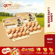QL Eggs Day 1 Sandy - Medium 20pcs Fresh Egg Farm Fresh Egg Telur Segar