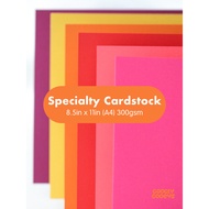 Specialty Cardstock Paper | 8.5in x 11 (A4) 300gsm (5pcs) for Cricut Cameo Brother Siser Cake Topper