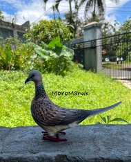 Patung Jontrot Burung Tekukur Tikukur