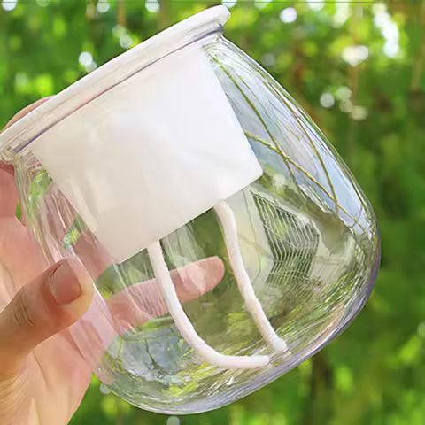 Mini Round Succulent Plant Pot Spherical Transparent Pet Flower Pot for Spider Plant Herbs Aloe Peac