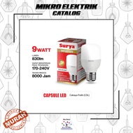 9 watt Solar Led Capsule Lamp