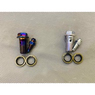 BREMBO GP4 AIR RELEASE SCREW TITANIUM/CHROME