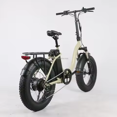 Rust Resistant Frame Fat E Bike LCD Display Ebike Electric Bike Front Suspension Fork Folding Iron F