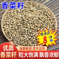 Coriander Seeds Coriander Seeds Coriander Seeds Spices Daquan Wholesale Braised Materials Braised Ve