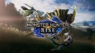 NS Monster Hunter Rise 怪物獵人崛起存檔修改 全道具