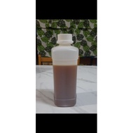 Madu kelulut asli 1 kg