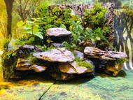 自訂📝 苔蘚微景觀 苔蘚生態瓶 水陸缸 蟹缸🦀️ 爬蟲缸 青龍石骨架 魚缸造景 盤景設計 造景石 植物擺件 玻璃瓶擺設 苔蘚植物 DIY 訂製 自訂 禮物🎁  送禮