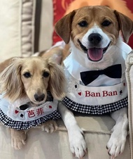 愛麗絲夢遊仙境