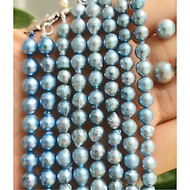 AKOYA mutant Japanese Choker shape, blue-gray Akoya chain, fashion, classic Akoya