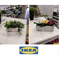 New Artificial Flowers IKEA FEJKA