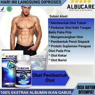 Albucare Solusi Obat Pembentuk Otot Halal Albumin Ikan Gabusobat Untuk Membentuk Otot Tubuh Perbesar