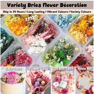 [Petite Houz] Dries Preserved Mixed Flower Handmade Art Floral Decoration Gift Craft Bunga Kering Bi