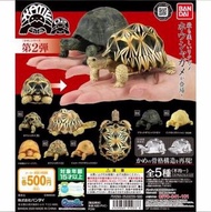 BANDAI 環保扭蛋 陸龜 GASHAPON 第2彈 可愛可動 一套5隻不散 HKD350（全新未拆）