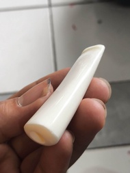 PIPA ONCE GG TULANG UNTA MINI PUTIH MULUS NATURAL