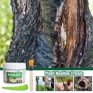 Tree Wound Sealant Tree Wound Dressing with Brush 500g Bonsai Planting Grafting Repair Agent for Yar