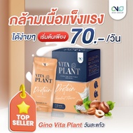 ส่งฟรี Gino Vita Plant โปรตีนพืช เสริมกล้ามเนื้อ สำหรับผู้สูงอายุ แคลเซียมสูง ไม่มีน้ำตาล #อาหารเสริ