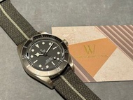 Tudor Black Bay 58 925 Silver New 全新