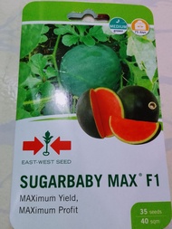 SUGARBABY MAX F1 HYBRID WATERMELON SEEDS (35 SEEDS) BY EAST WEST