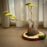 山烏龜 針織手作