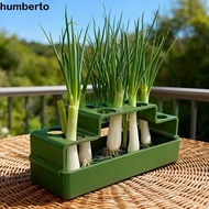HUMBERTO Sprout Planting Pot, Ventilated Celery Chives Seedling Tray, Multifunctional Lettuce Corian