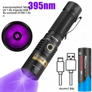 20W 395/365nm ไฟฉาย UV USB ชาร์จ Blacklight Curing Cat Tinea ปัสสาวะสัตว์เลี้ยง Stain Marker รั่วแร่