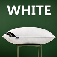 (SG STOCK) Hilton 5 Star Hotel Pillow Premium Comfort 1000g/1300g High quality soft sleep pillow