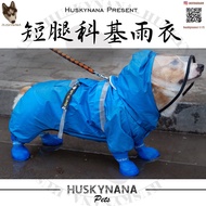 Dog Product Corgi Dedicated