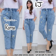 Begy Pants Women's Jeans 7/9 Latest Model Embroidery Combination