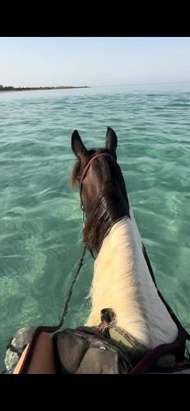 A casa di nonna Ivana in Salento - Bilocale con cucina a 50 mt dal mare - in pieno centro - ideale a