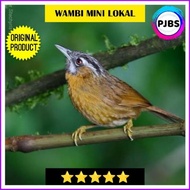 Wambi Mini Lokal Gratis Ongkir