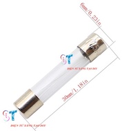 20A 6x30mm Glass Tube Fuse (10c)