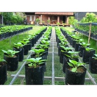 Polybag 16x16 Size 16 inch x 16 inchi Hitam Tebal Tanam Sayur Cili Beg Bag Tanaman Benih Pollibag Ke