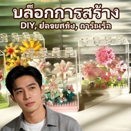 Lego House Model Building Blocks iq Toys Toy diy