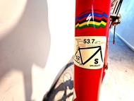 Specialized Allez SLX公路車