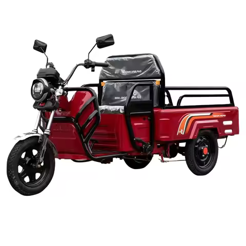 Multifunctional Wit Pas Electric Tricycles 3 Wheel Cargo Bike 60V Bar Led Commercial Grow Light 720w