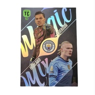 Panini Top Class 2025 - 219 Haaland & Ederson (Magic Mix) Card