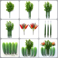 Collection Of Models Vegetable Sets Coriander Leeks Chili Peppers For Displaying Restaurants