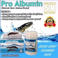 Kapsul Ikan Gabus Pro Albumin Original | Kapsul Albumin | Ikan kutuk