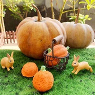 【Pumpkin Grows】南瓜造型種子球 (不含花器/培養土)