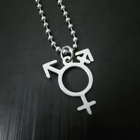 Stainless Steel Transgender Symbol Necklace Transgender Pride Jewelry Male And Female Symbol Necklac