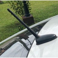 Car roof radio antenna mast pole FM Kereta Aerial Bumbung Screw Spiral Axia Myvi Bezza Viva Saga Blm