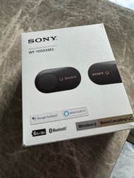 Sony WF-1000XM3