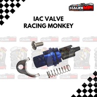 Racing monkey IAC VALVE/ ISC with lock included AEROX NMAX
