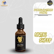 Coriander Attractant - NUTRI SHEEP Doping Medicine for SHEEP, SHEEP, Garut, SHEEP, Stamina, Sickness