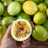 buah markisa madu kuning