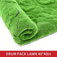 Selens ฉากหลังถ่ายภาพพื้นหลังรูปแบบป่าอุปกรณ์ประกอบงานถ่ายภาพสำหรับเครื่องประดับเครื่องสำอาง