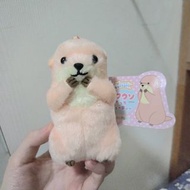 小水獺_毛金山公仔掛件 (Amufun/Amuse/正版授權)